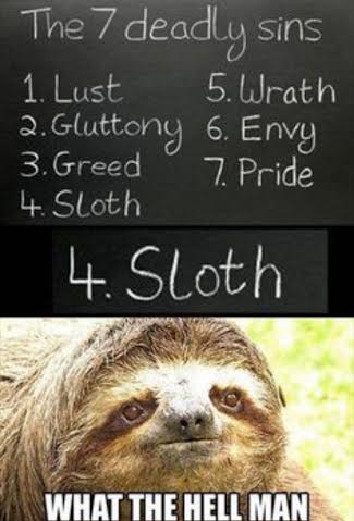 final sloth