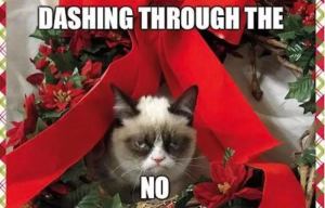 grump-cat-christmas